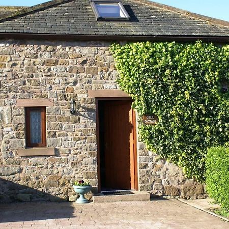 Gill Cottage Castle Carrock ภายนอก รูปภาพ