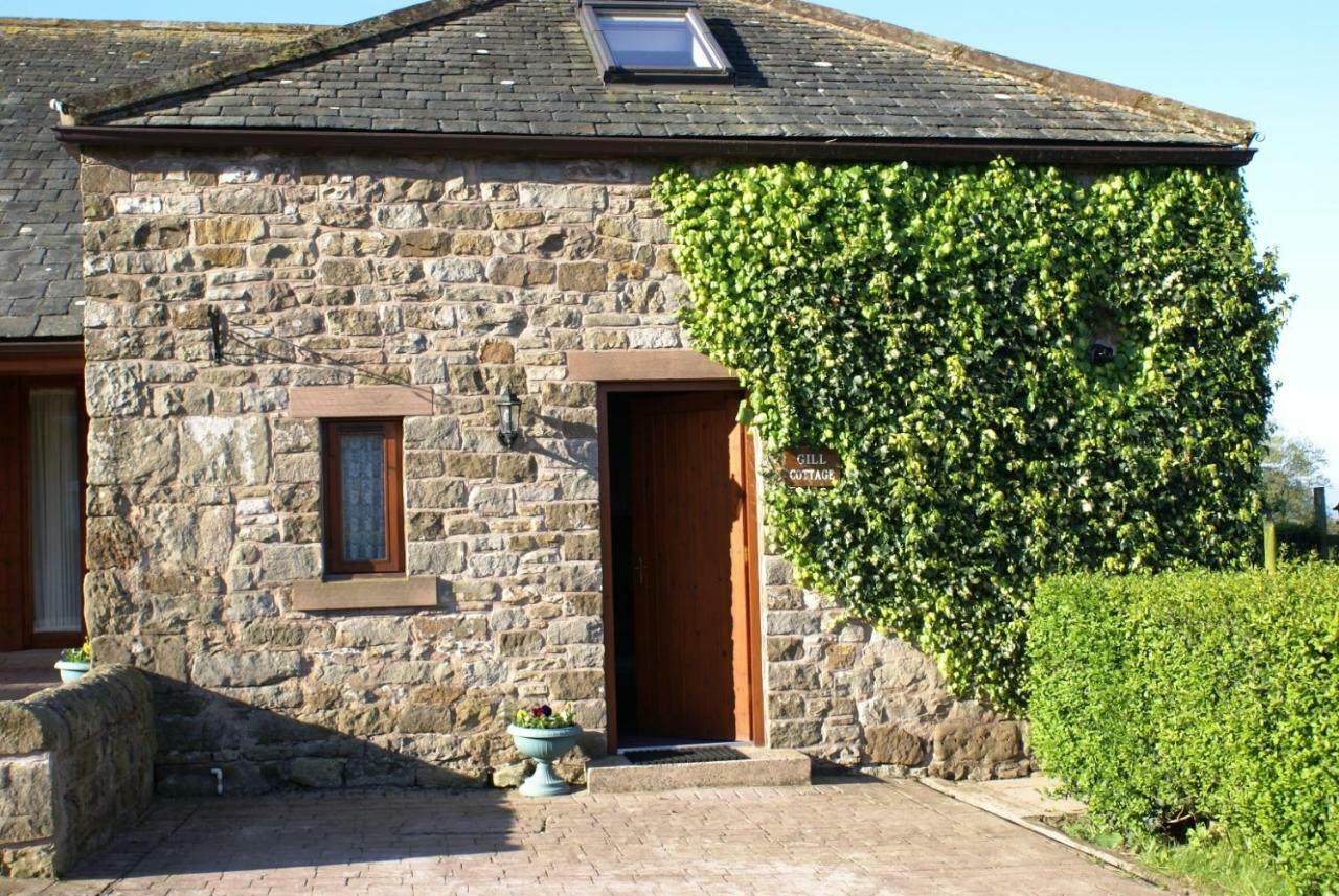 Gill Cottage Castle Carrock ภายนอก รูปภาพ